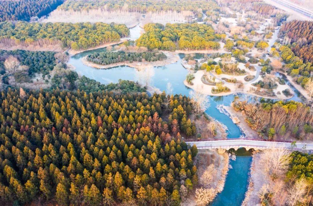 上海崇明：全力打造世界级生态岛碳中和示范区