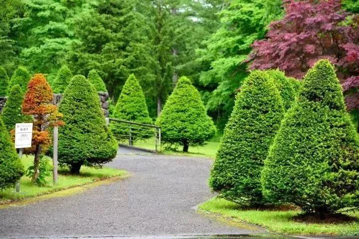 园林绿化施工中的反季节种植技术