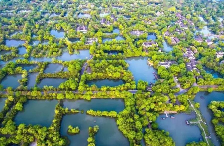 湿地公园怎么建？设计标准来了